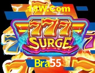 Design Responsivo Bra55