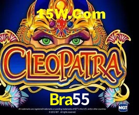 Login Seguro Bra55
